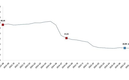 İnşaat Maliyet Endeksi, Ağustos 2025
