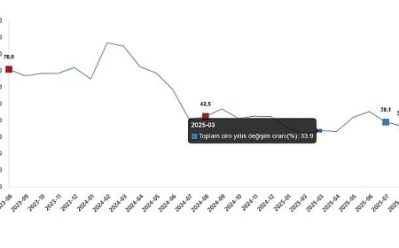 Ciro Endeksleri, Ağustos 2025