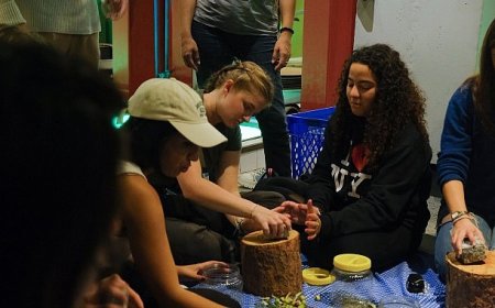 Ayvalık’ta Uluslararası Gençlik Projesi Kapsamında Zeytin Kültürü Deneyimi