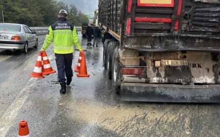 Düzce-Zonguldak bağlantı yolunda kaza!