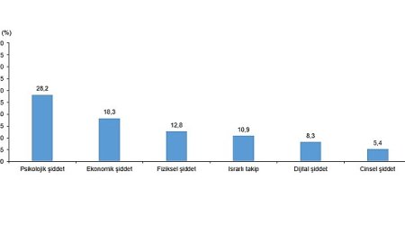 Türkiye Kadına Yönelik Şiddet Araştırması, 2024