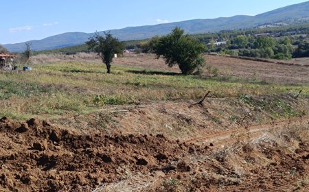 DSİ’den Bilecik Pazaryeri’nde 6 bin dekar üretime kazandırılıyor