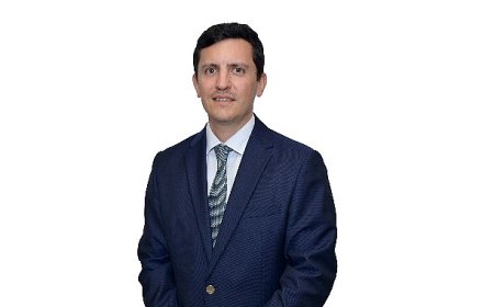 Sofralık zeytin ihracatında 255 milyon dolarlık tarihi rekor