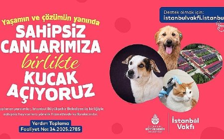 İstanbul Vakfı’ndan sahipsiz can dostlarımıza destek çağrısı