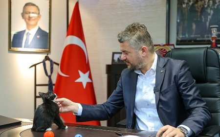 Hayvanları Koruma Günü’nde Başkan Duman’dan çağrı