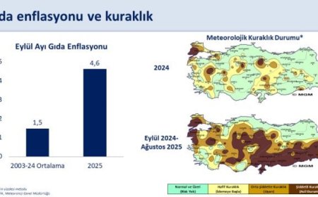 Başkan Şimşek: Dezenflasyon devam edecek