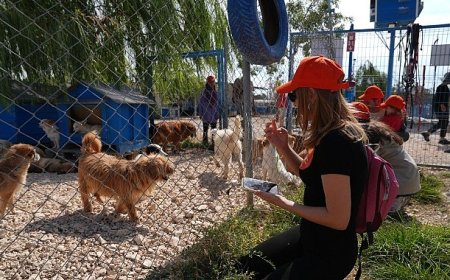 Borusan Pati Elçileri’nden sokağa terk edilmiş can dostlara mama, koruyucu aile ve sahiplendirme desteği