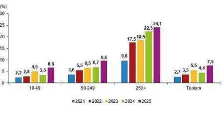 Yapay Zeka İstatistikleri, 2025