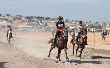 Türkiye’nin şampiyon atları Menemen’de yarıştı