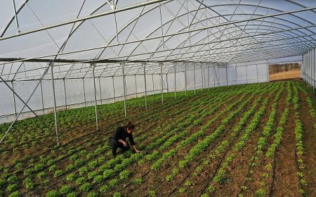 Büyükşehir’den çiftçilere modern sera desteği