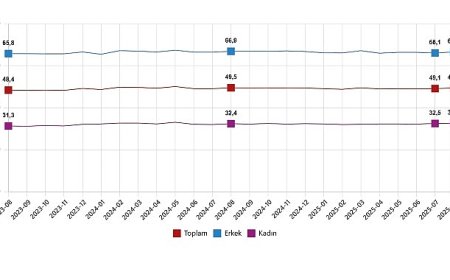 İşgücü İstatistikleri, Ağustos 2025
