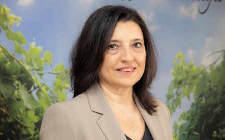 Evde sirke yaparken dikkat! Asidite oranı düşük sirkeler sağlık riski taşıyabilir