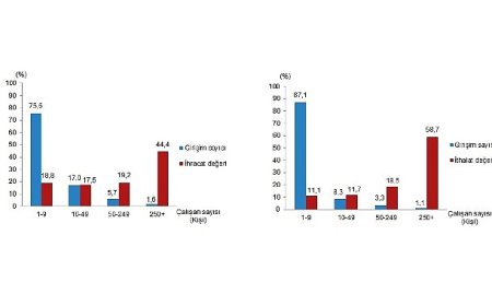 Girişim Özelliklerine Göre Dış Ticaret İstatistikleri, 2024