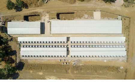 Can Dostlar Yeni Yaşam Merkezi’ne Kavuşuyor
