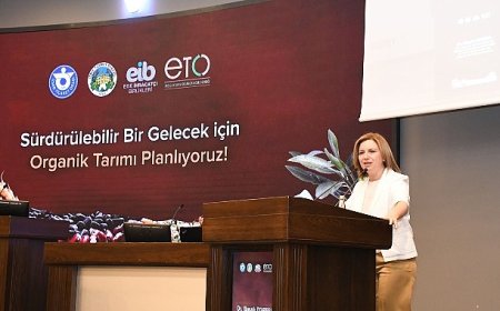 Organik Tarımda Gelecek Vizyonu: Sürdürülebilirlik İçin Ortak Adımlar