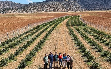 Büyükşehir’in hibeleri üreticinin yüzünü güldürdü
