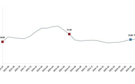 Tarımsal Girdi Fiyat Endeksi, Temmuz 2025