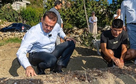 Yenişehir Belediyesinin hibe ettiği safran soğanları toprakla buluştu