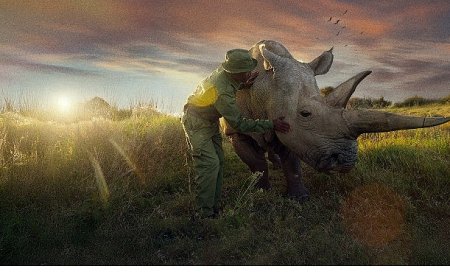 ‘Son Gergedanlar: Yeni Bir Umut’, 21 Eylül Pazar 20.00’de National Geographic Ekranlarında!