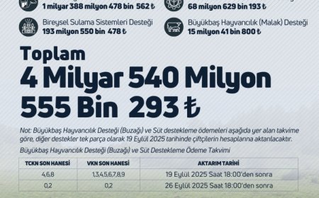 Çiftçilere müjde: 4,5 milyar TL destek hesaplarda