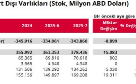 Merkez’in ‘Uluslararası Yatırım Pozisyonu’ verileri açıklandı