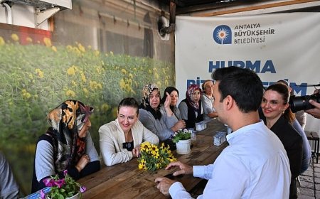 Başkan Vekili Özdemir bitki üretim tesisini gezdi