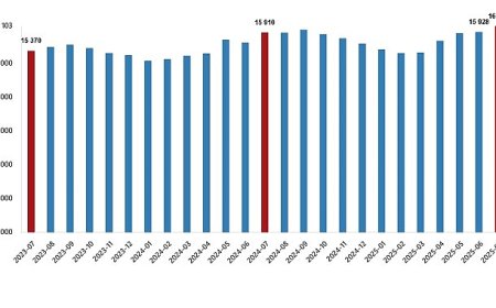Ücretli Çalışan İstatistikleri, Temmuz 2025