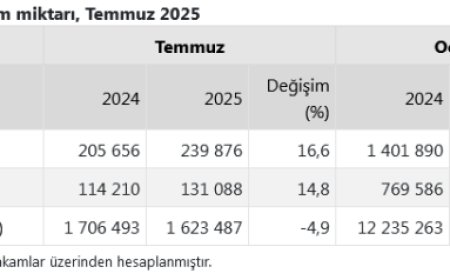 Temmuz’da yumurta üretimi geriledi