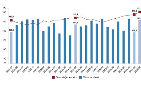Dış Ticaret Endeksleri, Temmuz 2025