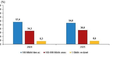 Girişimlerde Bilişim Teknolojileri Kullanım Araştırması, 2025