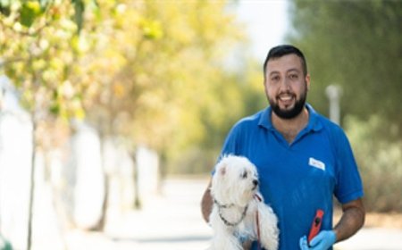 İzmir’de el konulan 20 cins köpek Işıkkent Köpek Bakımevi’nde