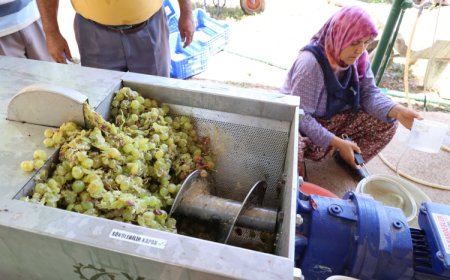 Antalya’da pekmez üretimine teknolojik dokunuş
