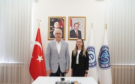 Bu proje ile sinovitin teşhisine yönelik iki yeni yerli ve milli ilaç geliştirilecek