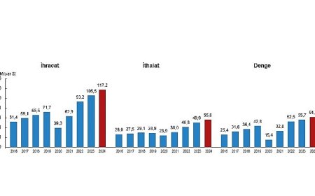 Uluslararası Hizmet Ticareti İstatistikleri, 2024