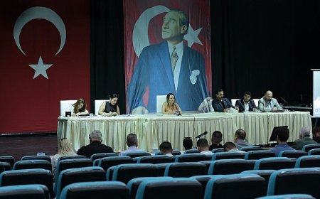 Konak Meclisinde doğal gaz önceliği