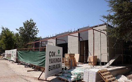 Çankaya, Çınarların Yeni Buluşma Noktası Olacak