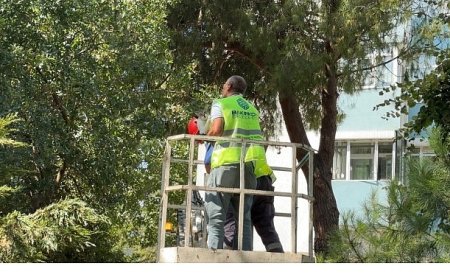 Bakırköy Belediyesi Ekipleri Kurtardı