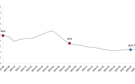 Yurt İçi Üretici Fiyat Endeksi, Ağustos 2025