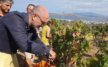 6–7 Eylül’de Bir Başkadır Avşa Etkinliği’nin Programı Açıklandı