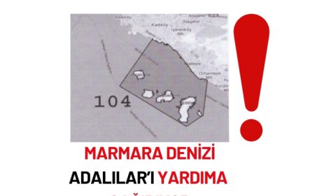 Adalar’da endüstriyel balıkçılık yasağına tam destek: Marmara’nın ekosistemi korunmalı