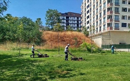 Gebze Tatlıkuyu Vadisi Kent Parkı’na düzenli bakım