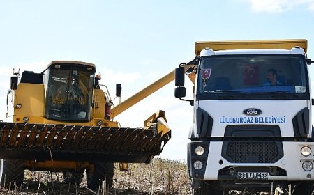 Lüleburgaz Belediyesi’nden ayçiçeği hasadı
