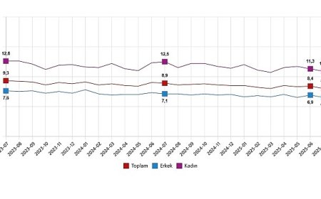 İşgücü İstatistikleri, Temmuz 2025