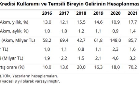 Yüksek enflasyon konut kredisiyle tüketimi canlandırıyor
