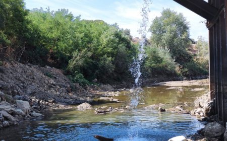 Bursa Yenişehir’de kuruyan derede yavru balıklar için umut oldular