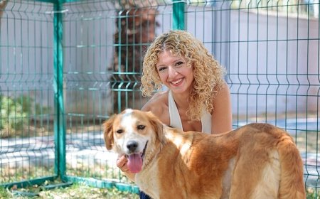 Konak’ın patili dostları ömürlük yuvalarını bekliyor