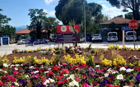 Muğla’dan kent estetiğine yeşil dokunuş