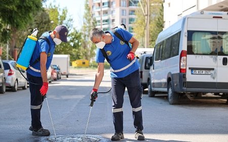 Buca’da ilaçlama atağı