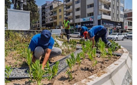 Kavşaklara estetik ve sürdürülebilir dokunuş