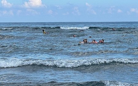 179 canı ölümün kıyısından aldılar